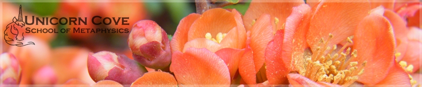 Random header image... Refresh for more!