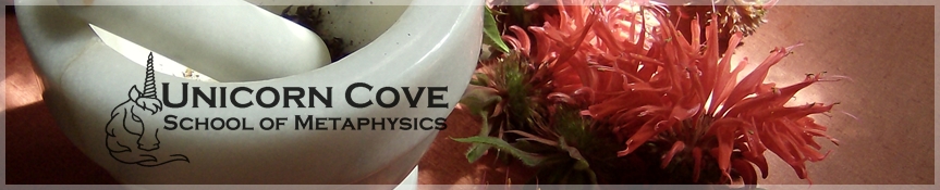 Random header image... Refresh for more!