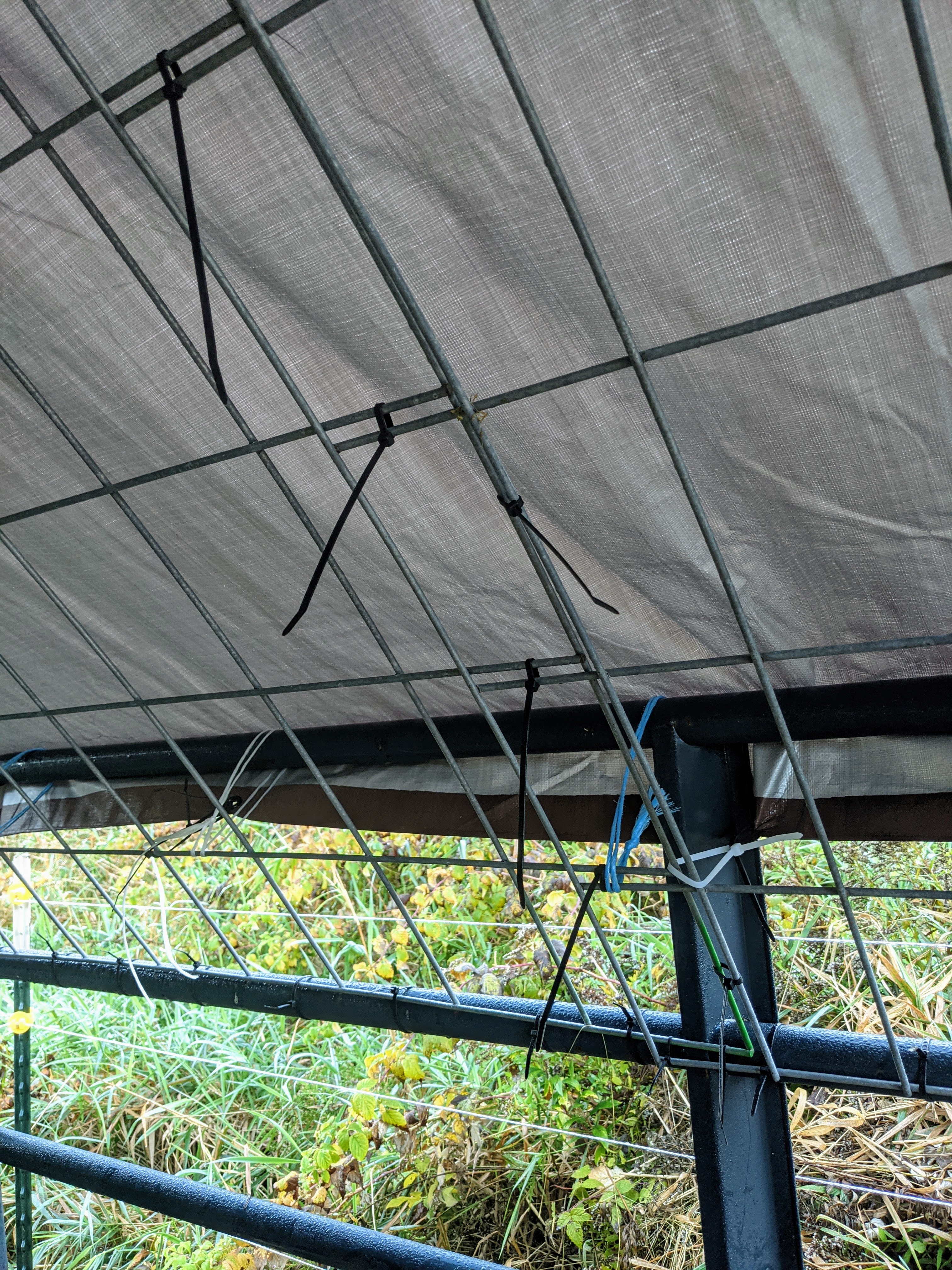 Overlapping cattle panels seccured together with zip ties