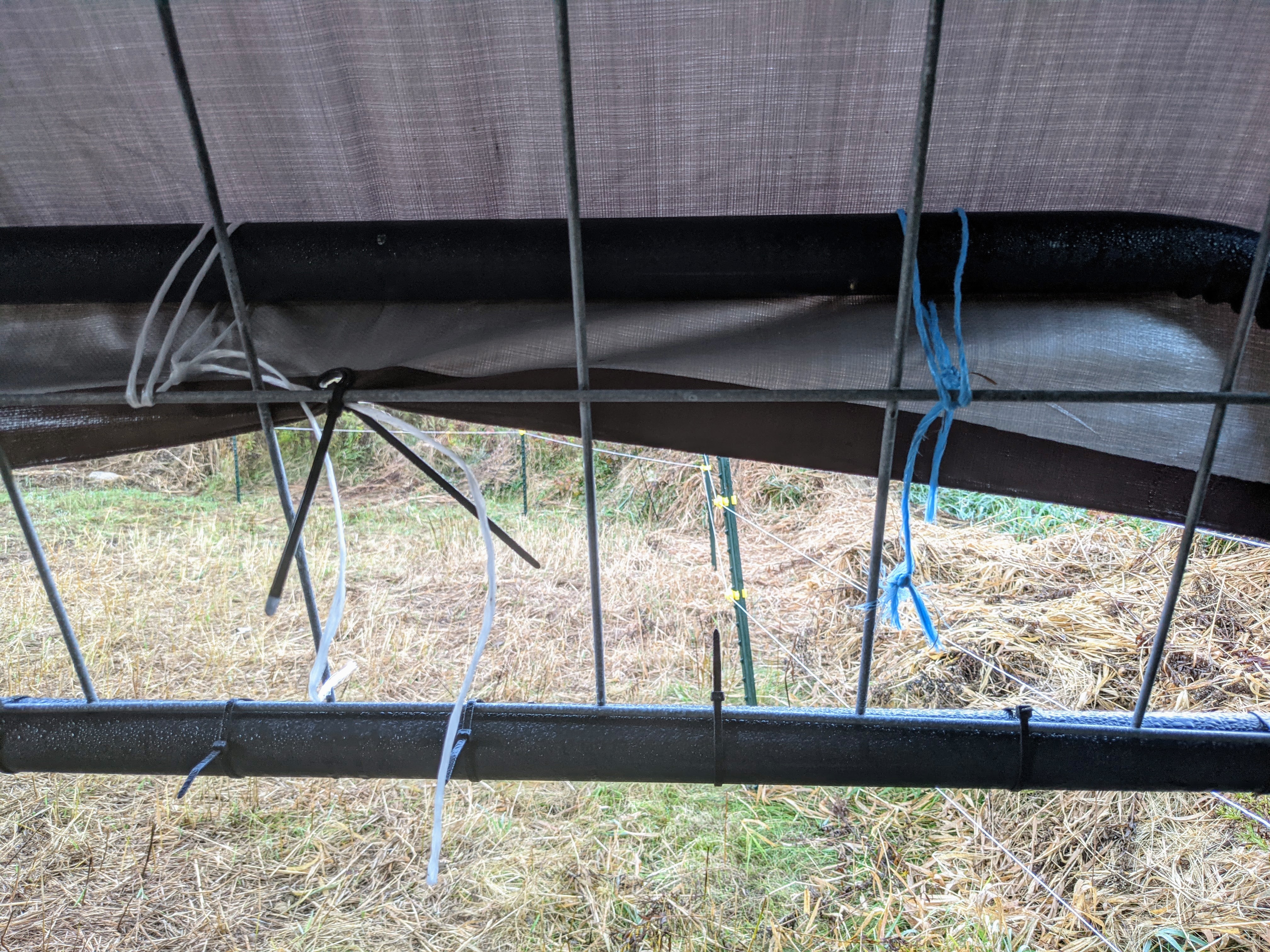 Cattle panel roof attached to second top bar with zip ties and baling twine.