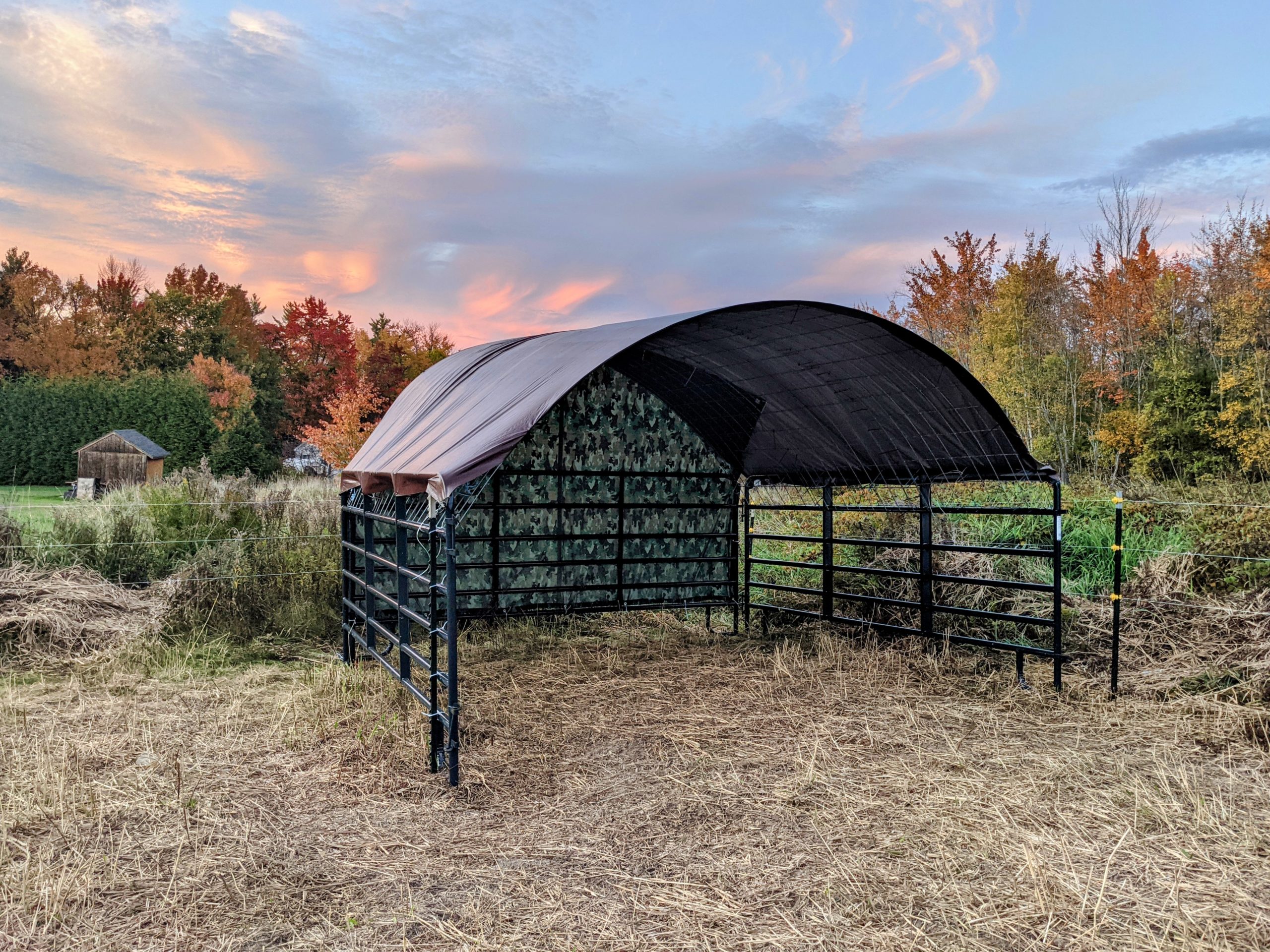 Easy affordable DIY horse shelter