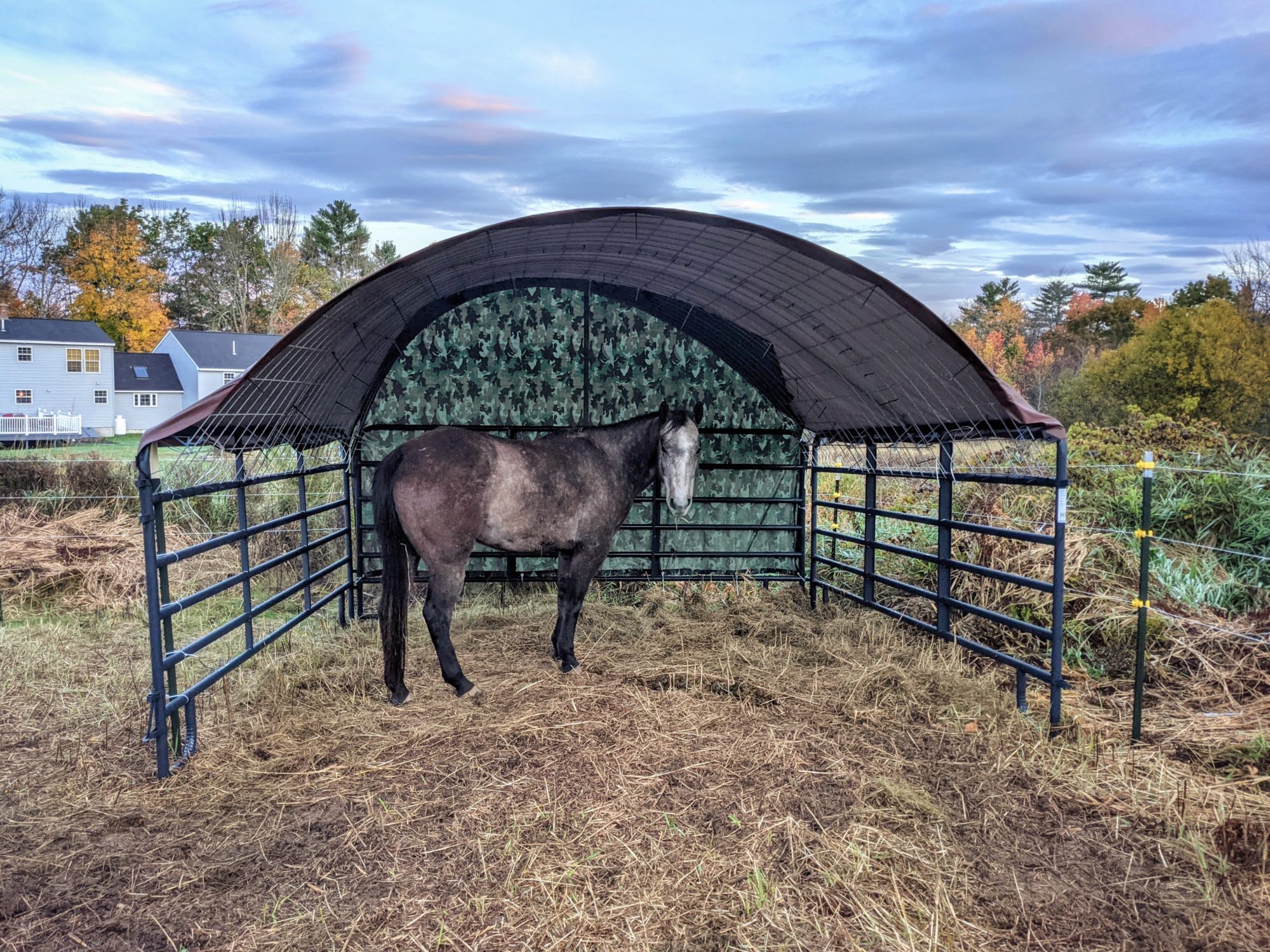 Plenty of space to move around in!